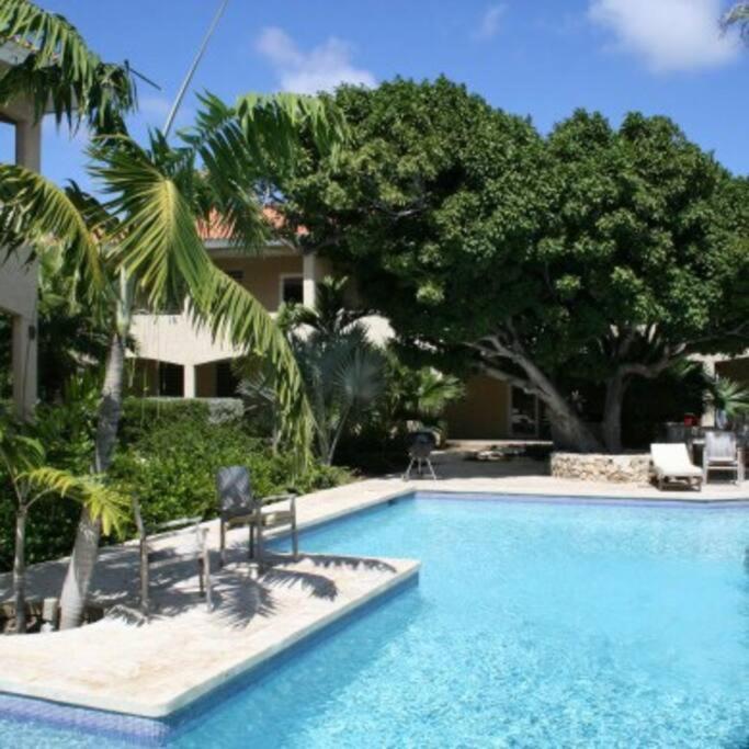Апартаменти Caribbean Happyness Віллемстад Екстер'єр фото
